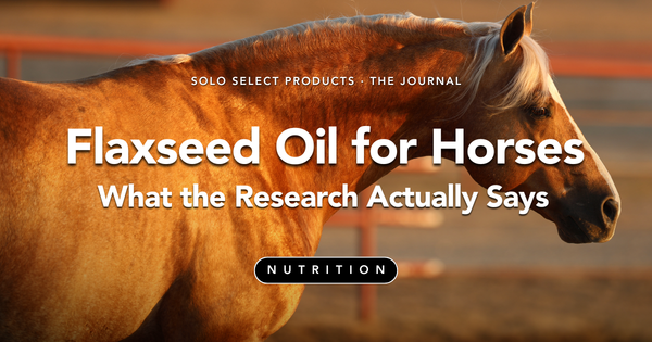 Flaxseed Oil for Horses: What the Research Actually Says