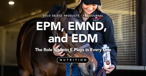 EPM, EMND, and EDM: The Role Vitamin E Plays in Every One