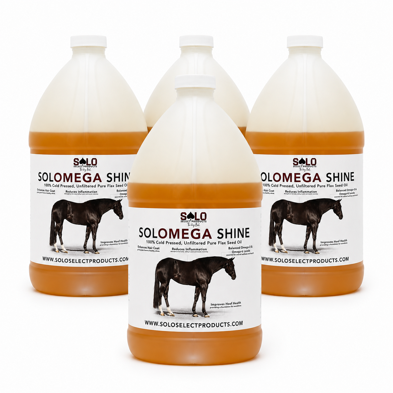 SoloMega Shine - Case (1 Gallon x 4)