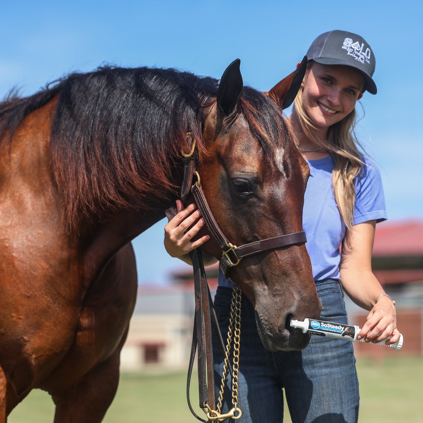 SoSteady - Equine Calming Paste