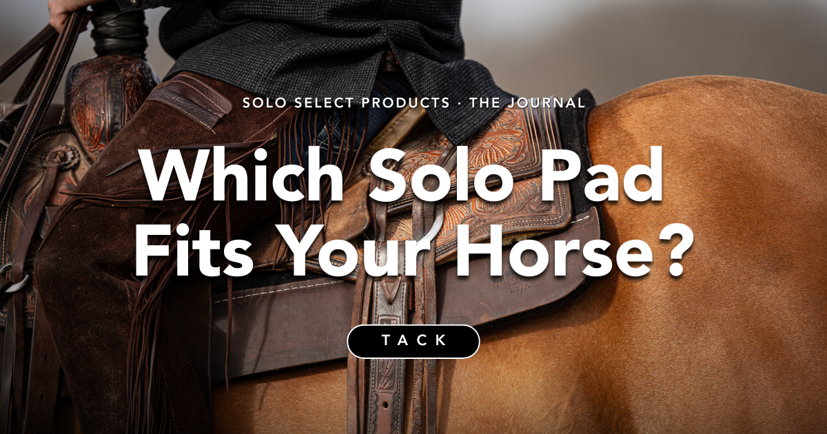Which Solo Pad Fits Your Horse?