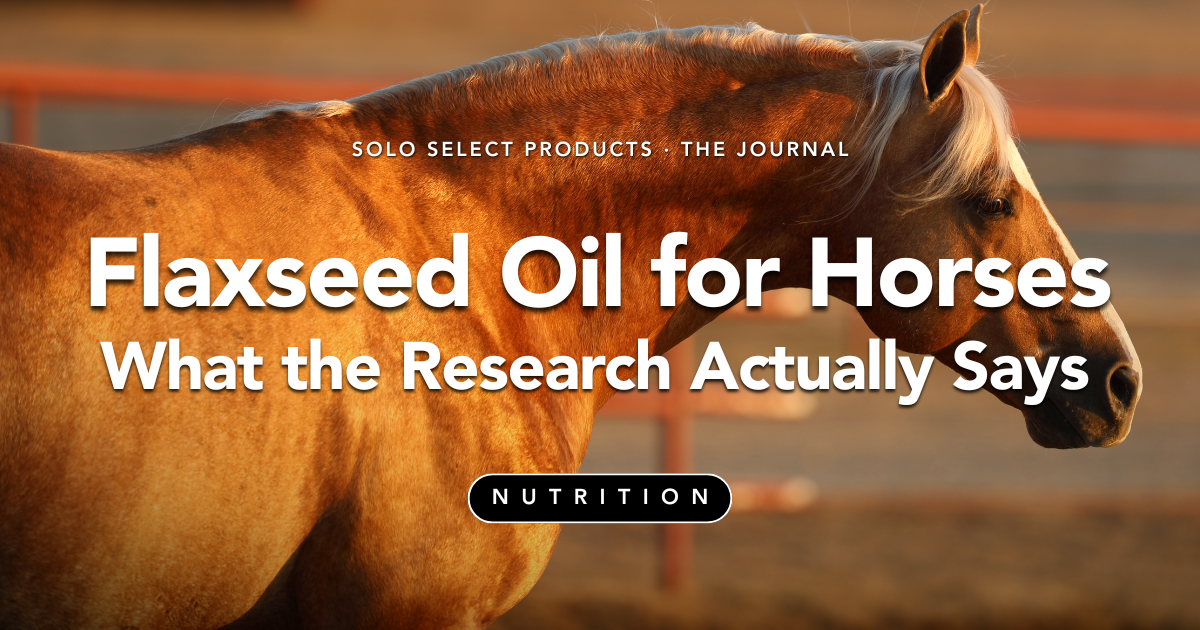 Flaxseed Oil for Horses: What the Research Actually Says