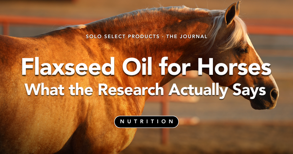 Flaxseed Oil for Horses: What the Research Actually Says