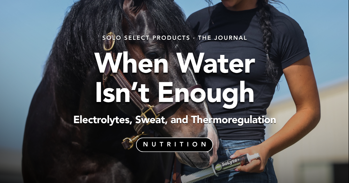 When Water Isn't Enough: Electrolytes, Sweat, and Thermoregulation