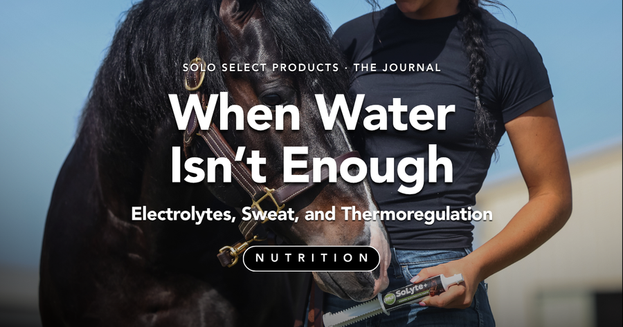 When Water Isn't Enough: Electrolytes, Sweat, and Thermoregulation