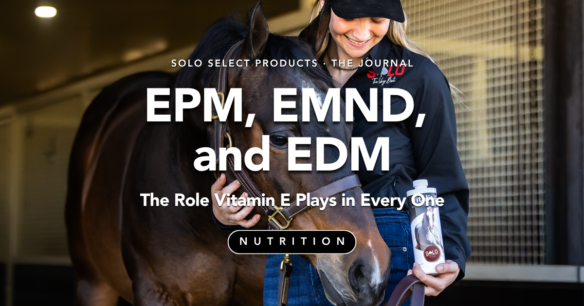 EPM, EMND, and EDM: The Role Vitamin E Plays in Every One