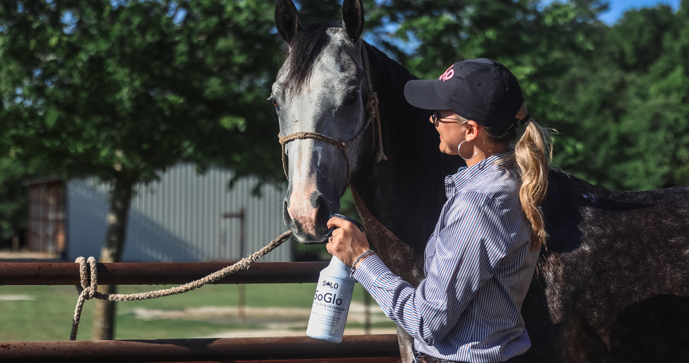 Summer Heat, Horse Sweat, and the Secret to a Better Summer Coat