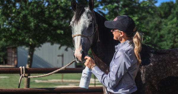 Summer Heat, Horse Sweat, and the Secret to a Better Summer Coat