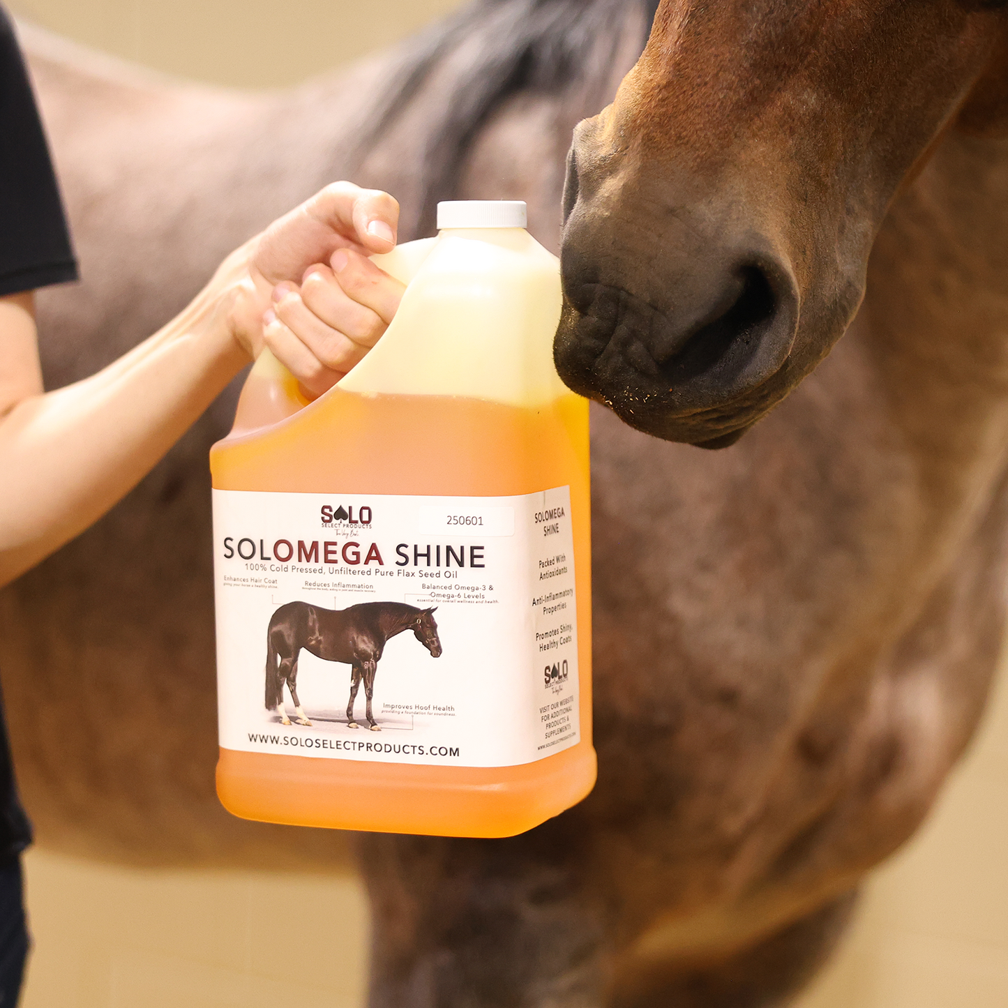 SoloMega Shine: 100% Pure Flax Oil