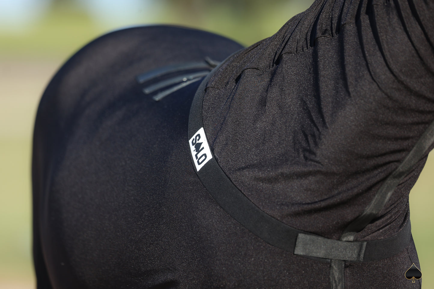 Equine Full-Body Slinky with Antimicrobial Shield