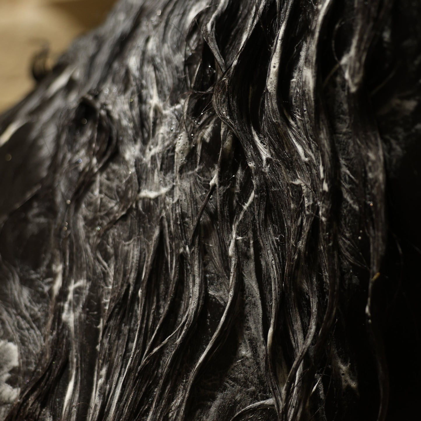 SoGlo Equine Shampoo