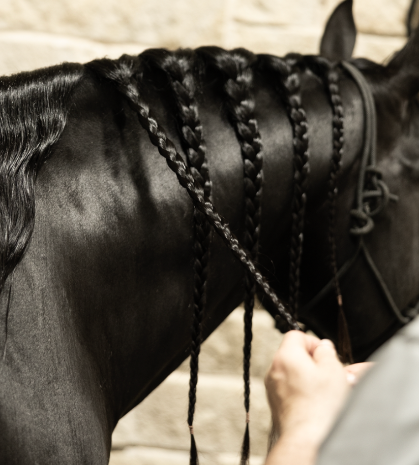 SoGlo Equine Conditioner