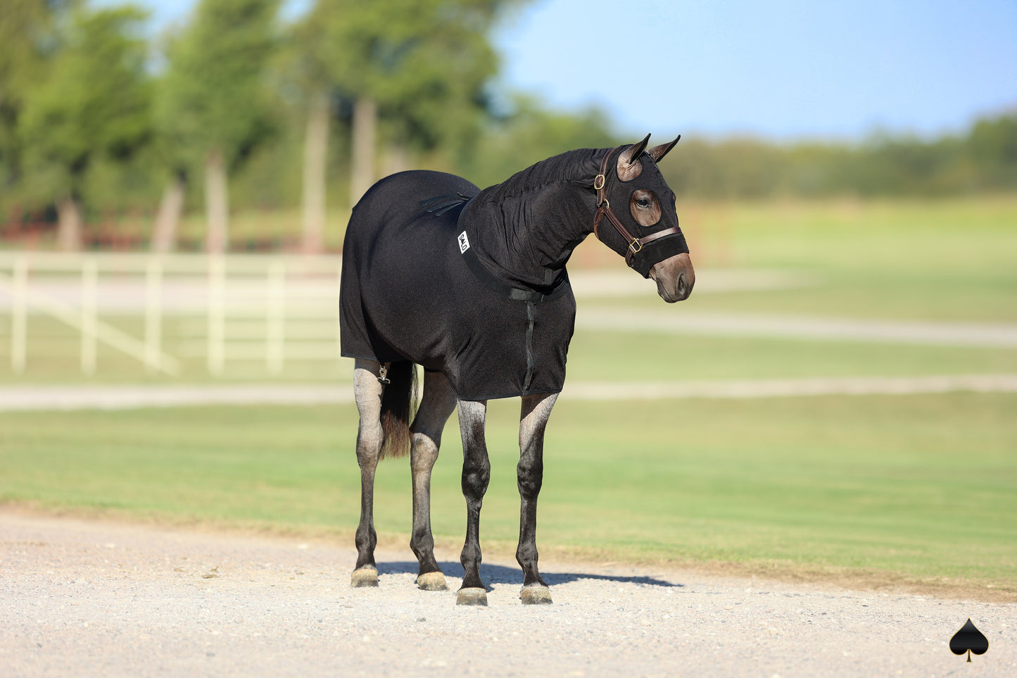 Equine Full-Body Slinky with Antimicrobial Shield