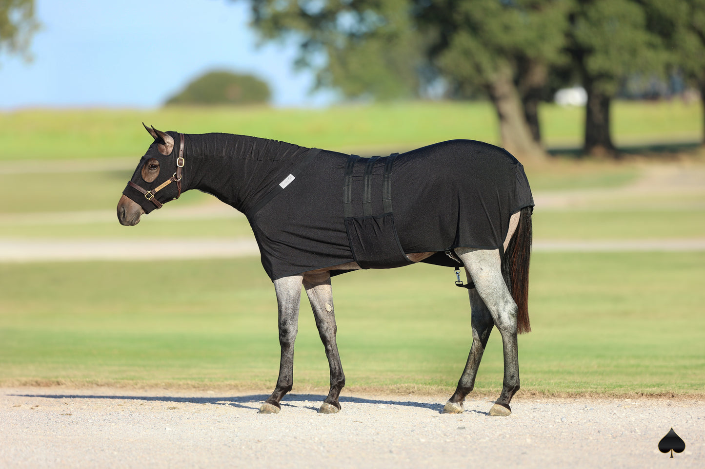 Equine Full-Body Slinky with Antimicrobial Shield