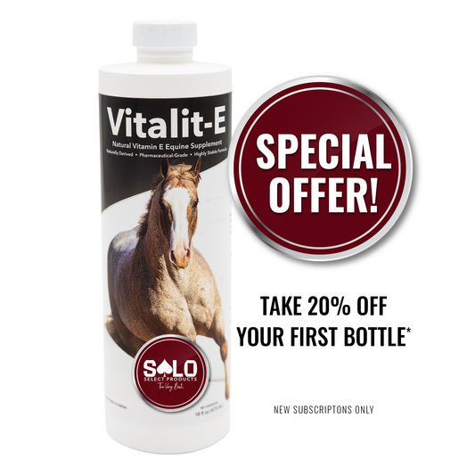 Vitalit-E: Vitamin E Liquid Horse Supplement