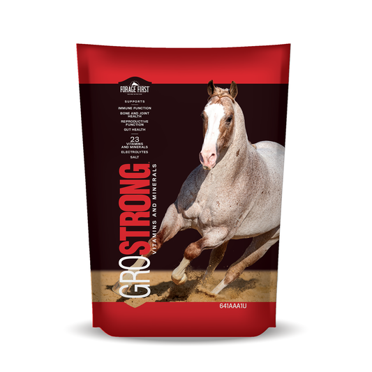 ADM GROSTRONG Granules Horse Supplement, 5-lb bag