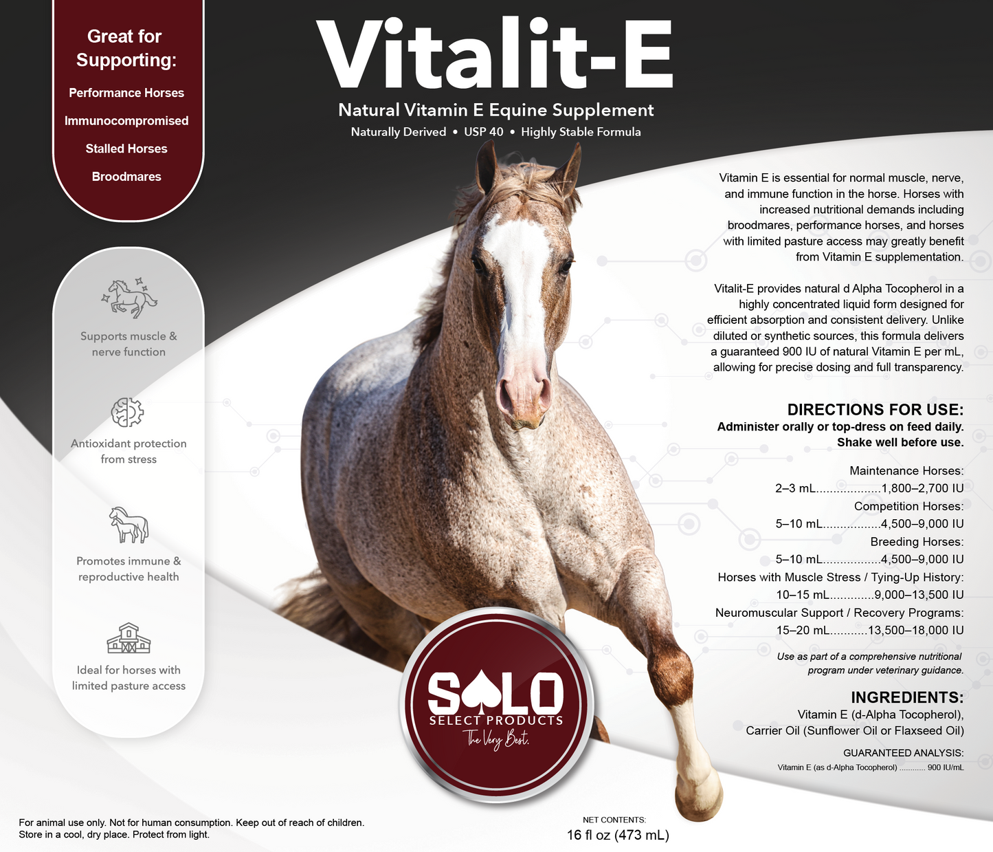 Vitalit-E: Vitamin E Liquid Horse Supplement