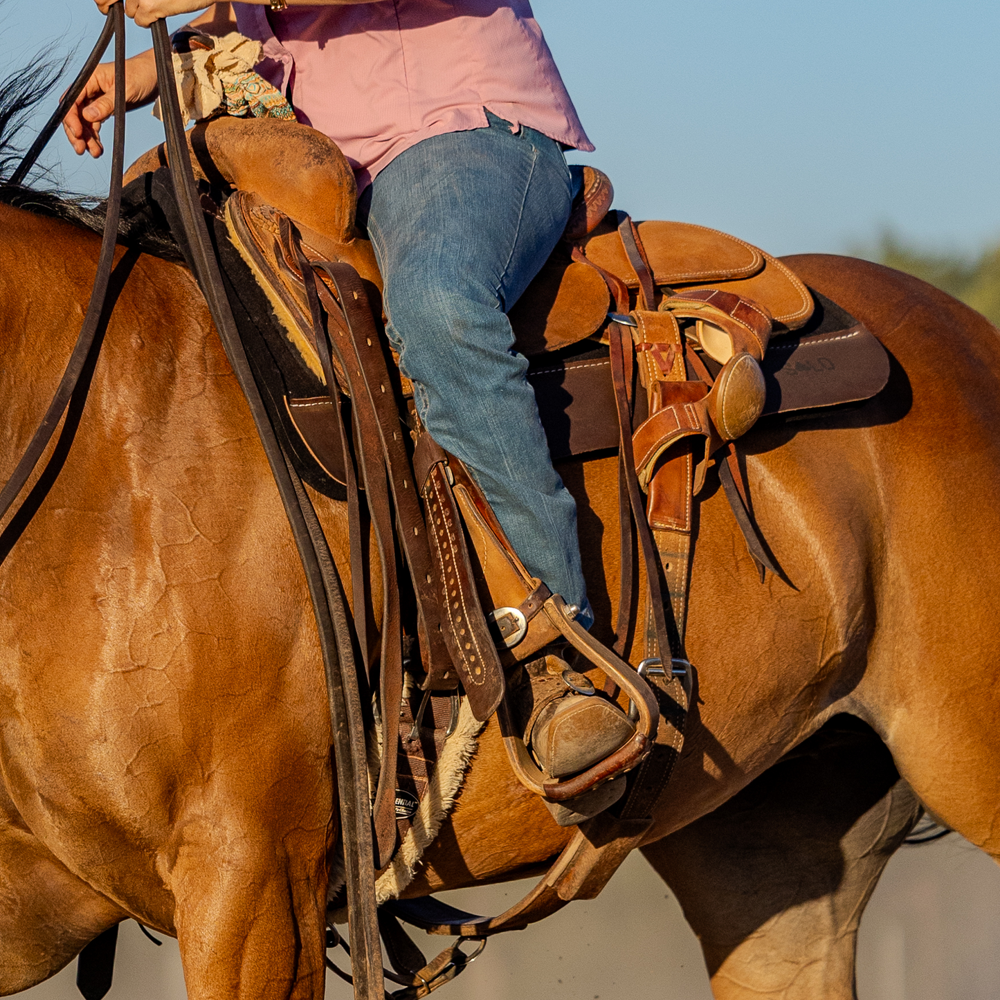 Performance Series: Contoured Felt Saddle Pad