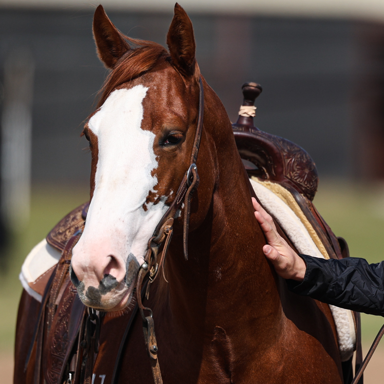 Performance Series: Kidney Pads - 1" Poron Kidney with Fleece Bottom