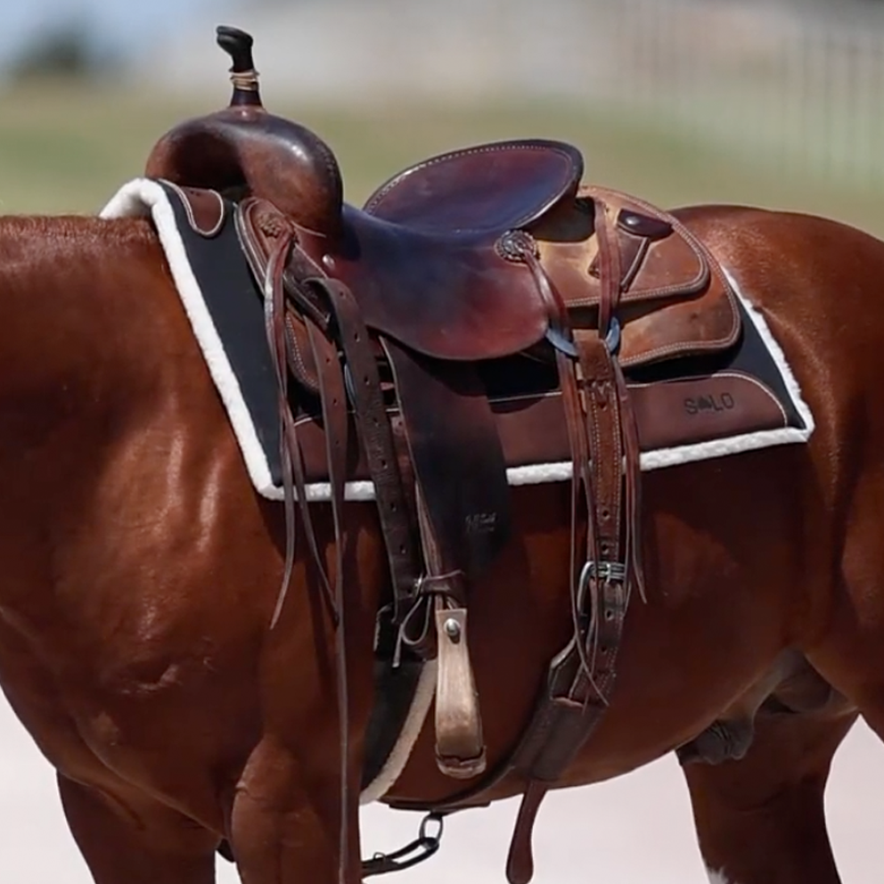 Trainer Series: Canvas Work Pad - Pressed Wool with Fleece