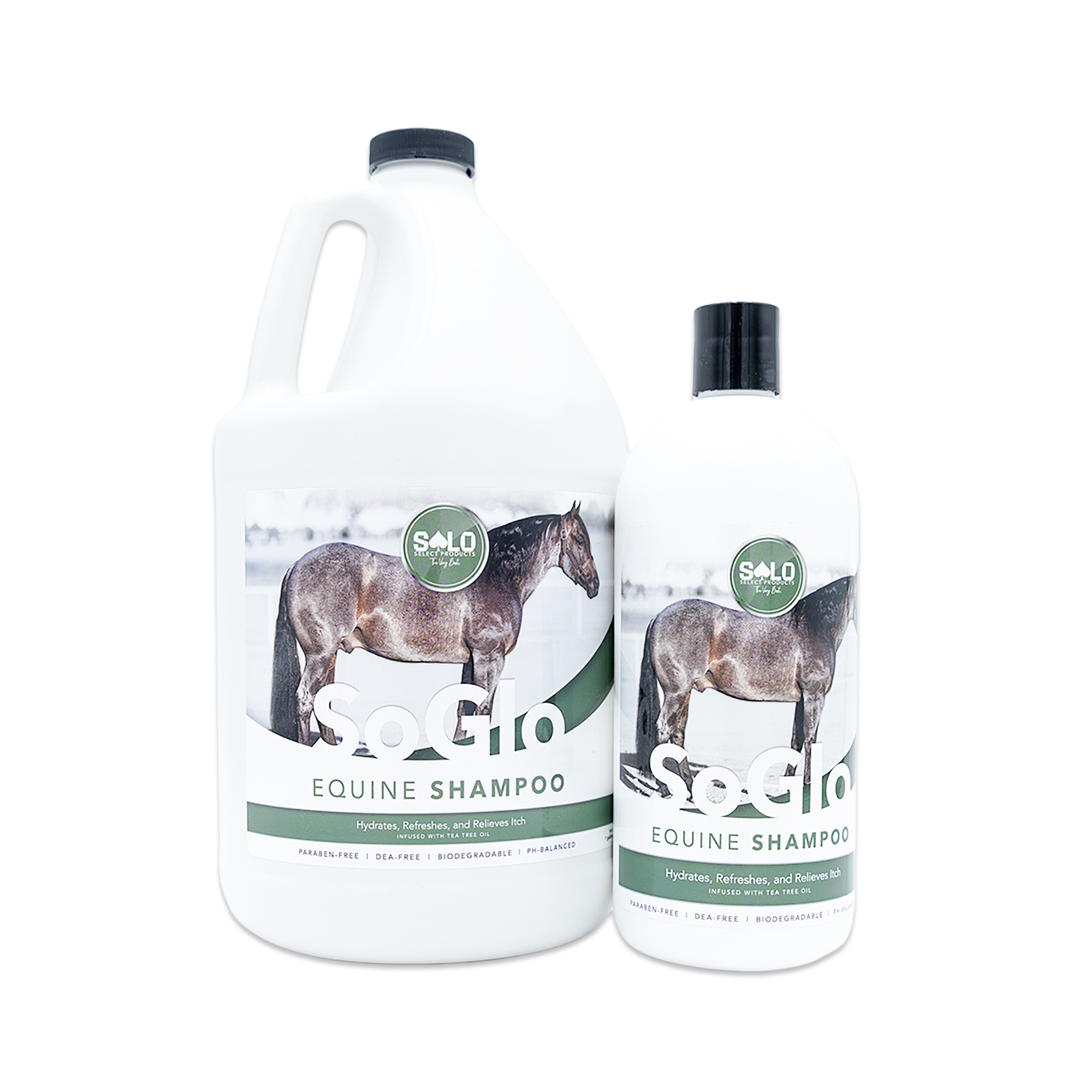 SoGlo Equine Shampoo
