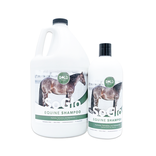 SoGlo Equine Shampoo