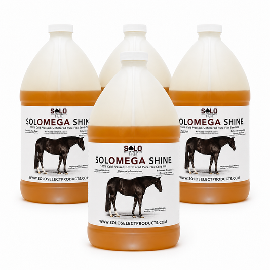 SoloMega Shine - Case (1 Gallon x 4)