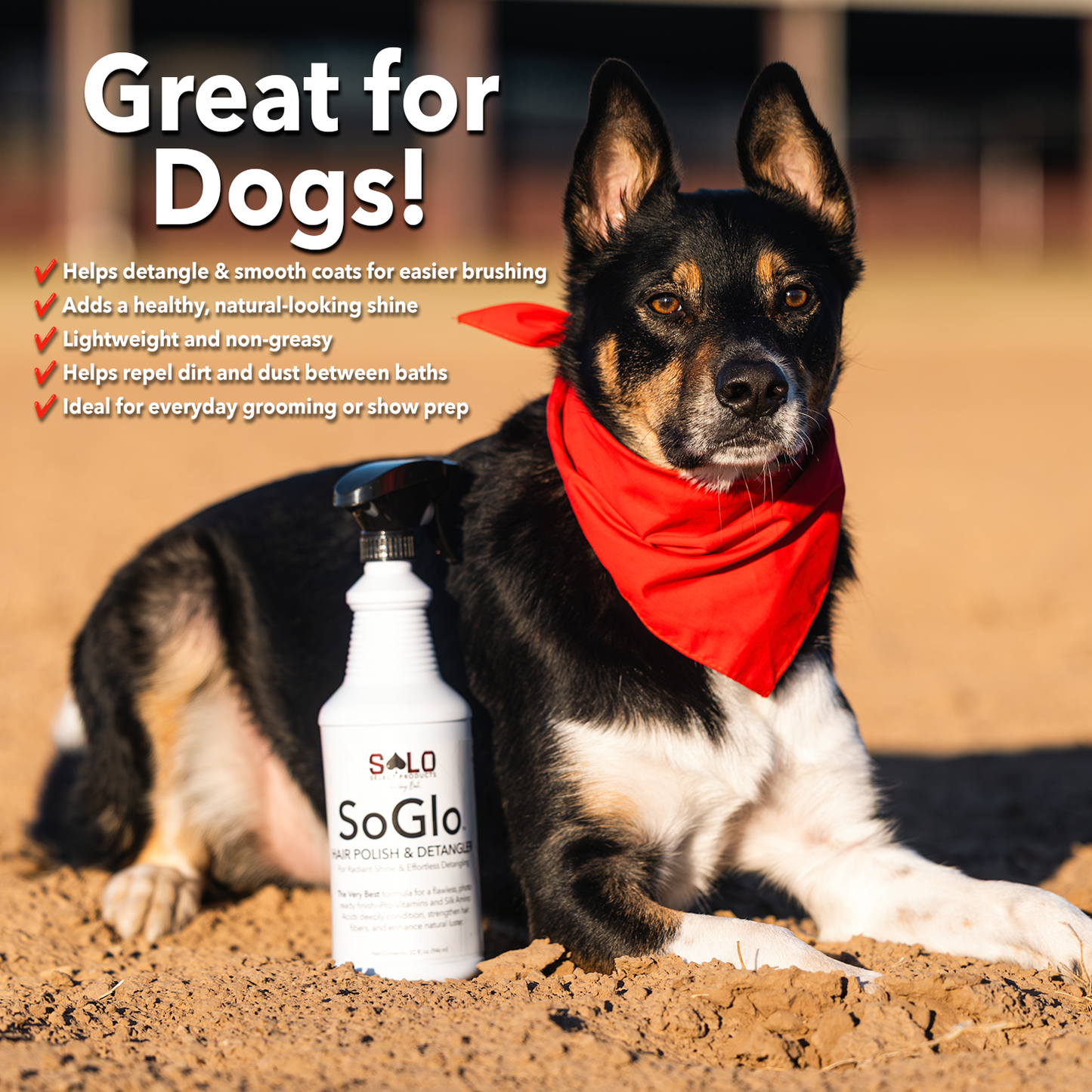 SoGlo: Hair Polish and Detangler