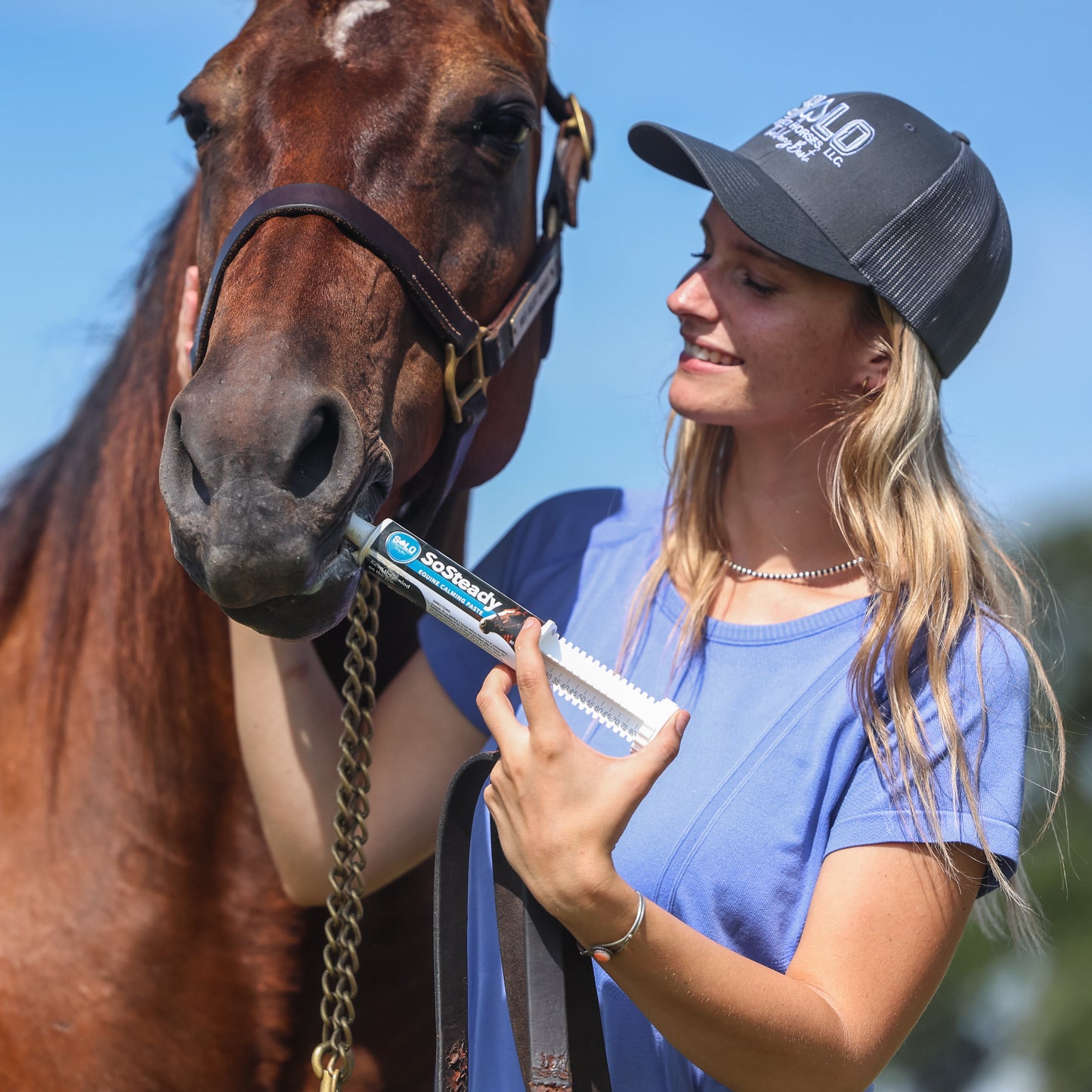 SoSteady - Equine Calming Paste