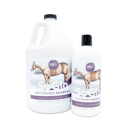 SoGlo Equine Whitening Shampoo